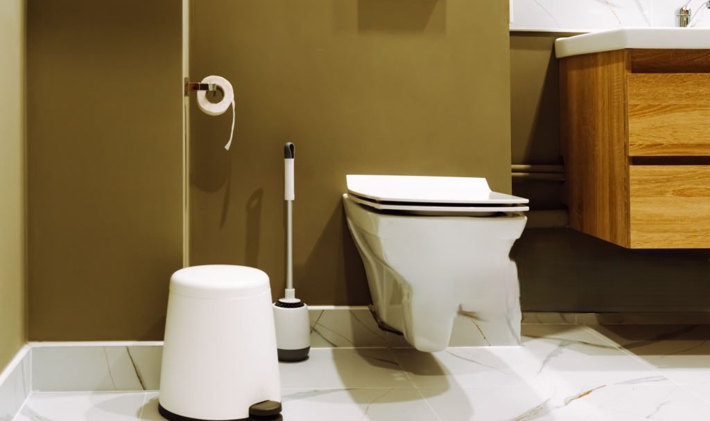 toilet brush