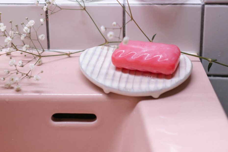 shower soap holder